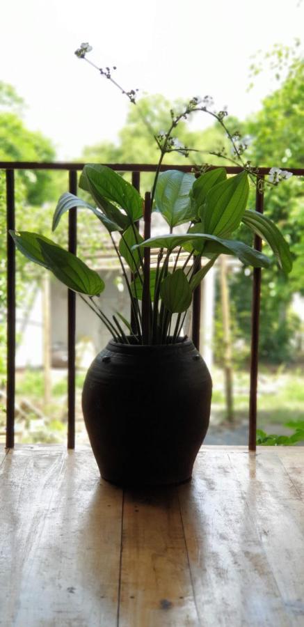 Tuyet'S Homestay Νιν Μπιν Εξωτερικό φωτογραφία