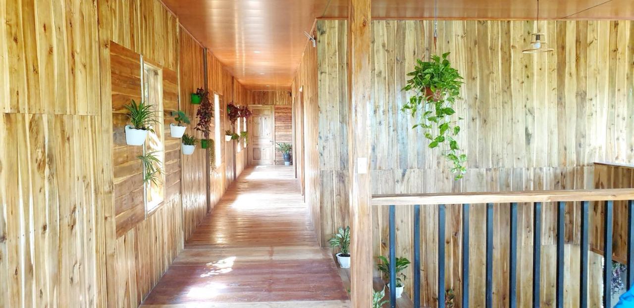 Tuyet'S Homestay Νιν Μπιν Εξωτερικό φωτογραφία