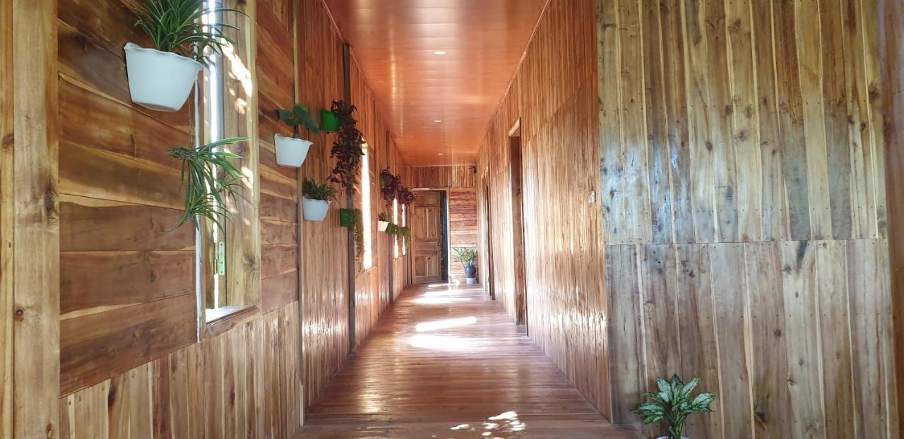 Tuyet'S Homestay Νιν Μπιν Εξωτερικό φωτογραφία
