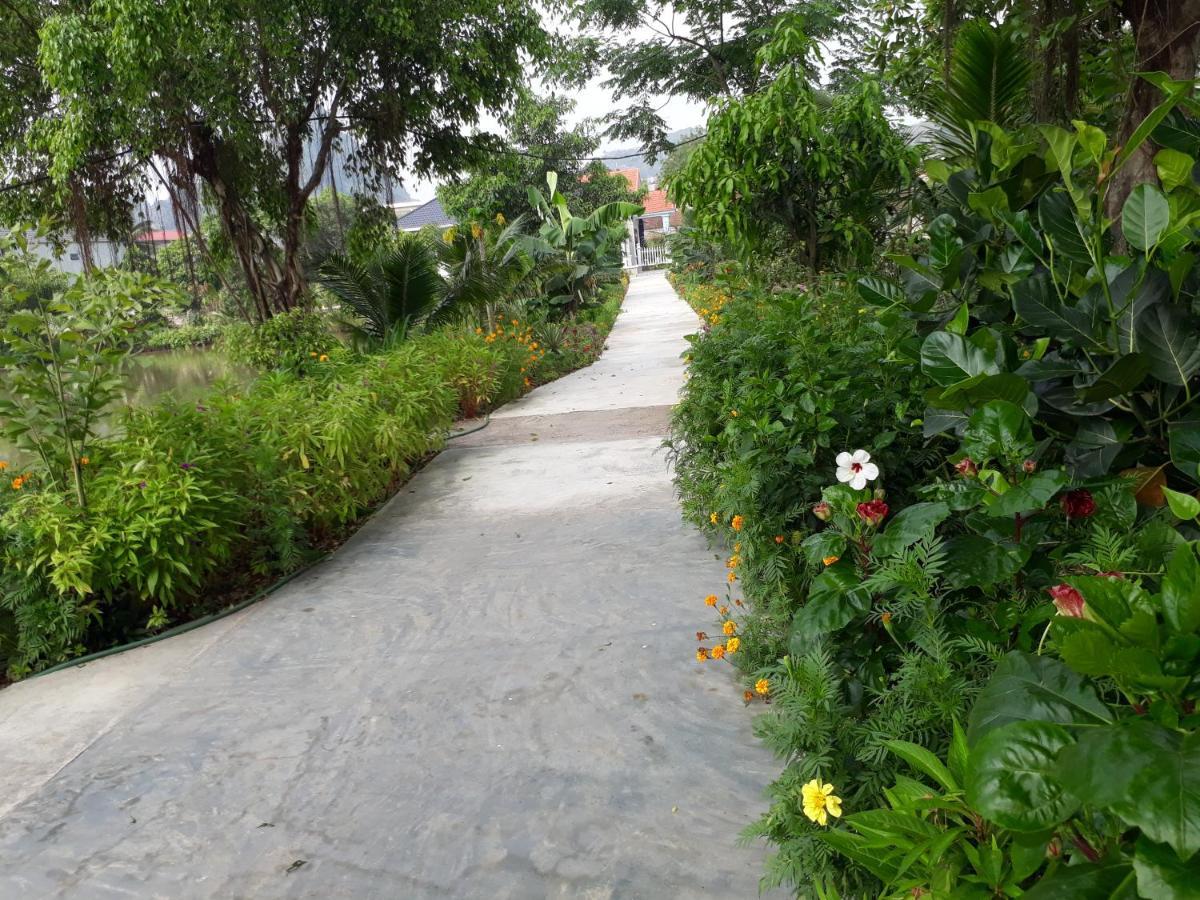 Tuyet'S Homestay Νιν Μπιν Εξωτερικό φωτογραφία