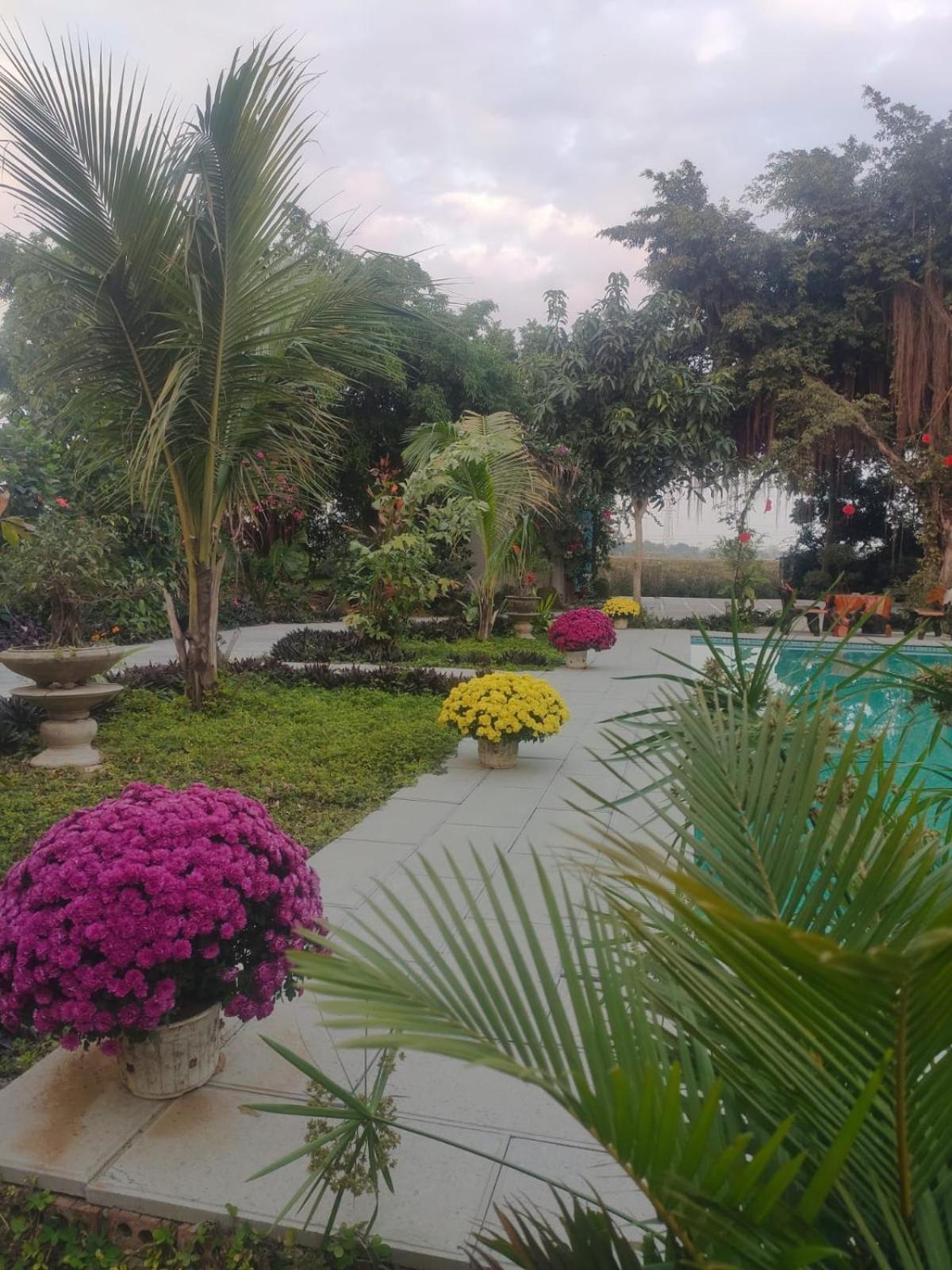 Tuyet'S Homestay Νιν Μπιν Δωμάτιο φωτογραφία