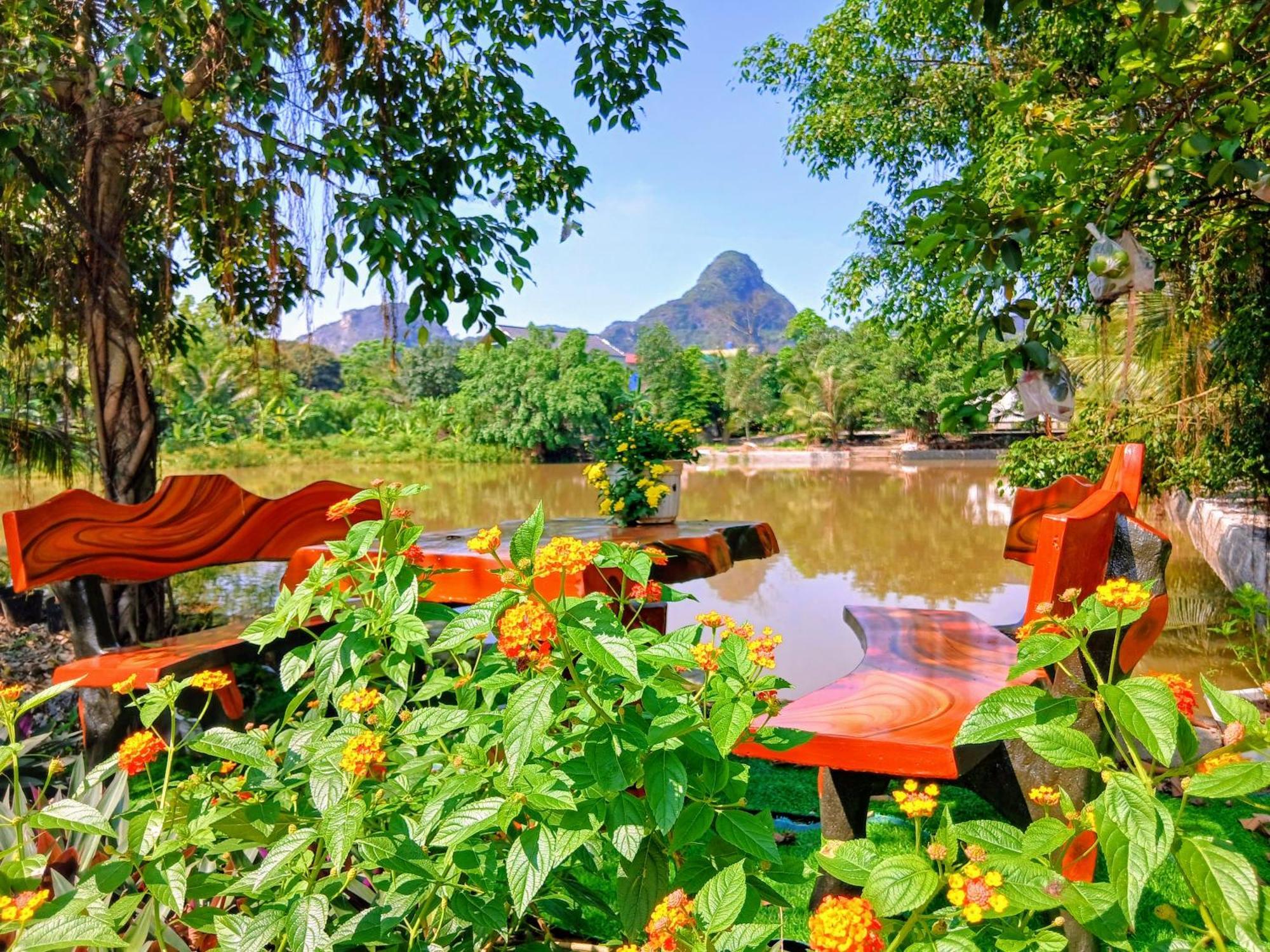 Tuyet'S Homestay Νιν Μπιν Εξωτερικό φωτογραφία